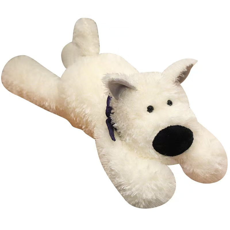 Bandana Dog